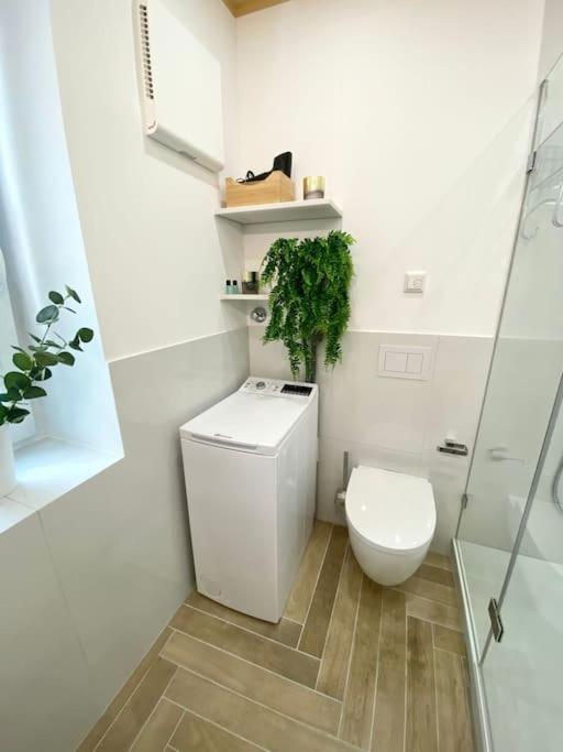 Komfort - Zentral, Mit Balkon Und Waschmaschine